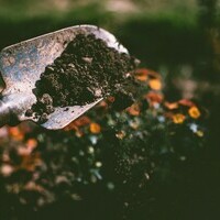 4 Steps to Start Composting