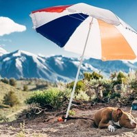 Tips to Beat the Heat for You & Your Pet