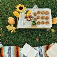 How to Plan the Perfect Picnic