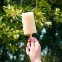 Healthy Summer Popsicle Recipes