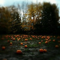 #YEG Halloween